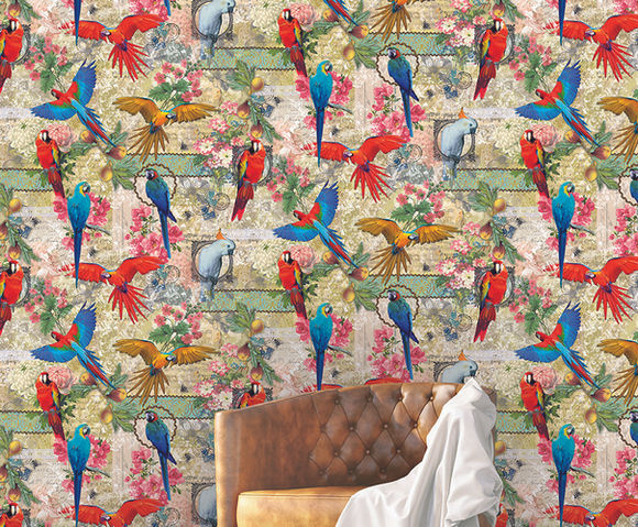 Color Choc - Parroty 200x300cm