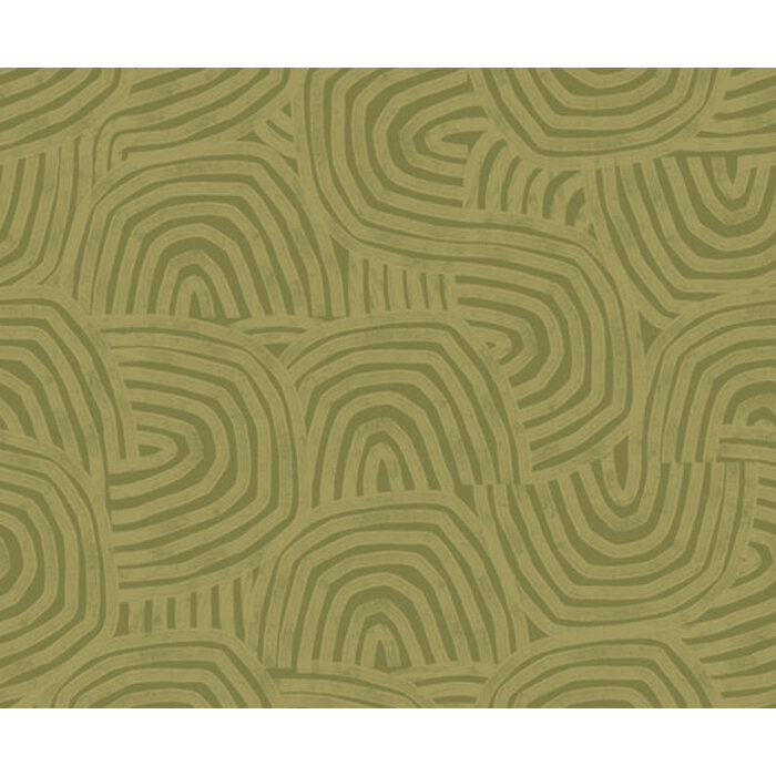 Glasshouse - Venation Olive