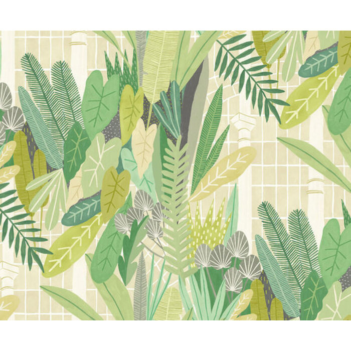 Glasshouse - Glasshouse Sage/Chartreuse