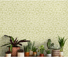 Glasshouse - Elements Fennel