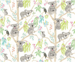 When I Grow Up - Kooka Koala Candy Apple