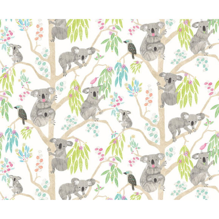 When I Grow Up - Kooka Koala Candy Apple