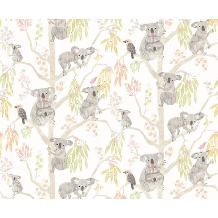 When I Grow Up - Kooka Koala Flamingo