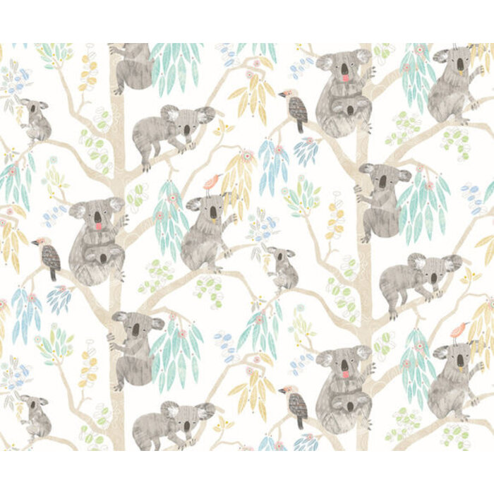 When I Grow Up - Kooka Koala Sky