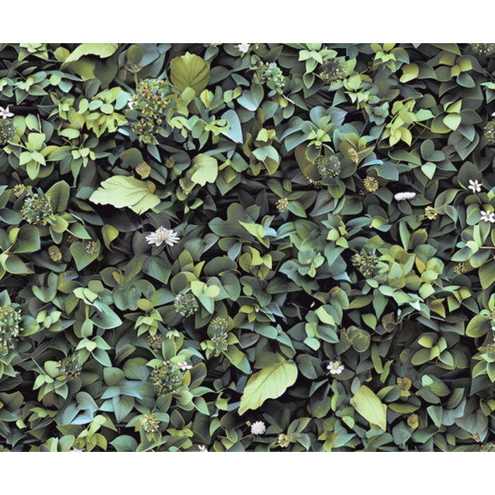 Illusion - bladeren groen