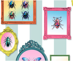 Illusion - lijstjes/insecten blauw/multi