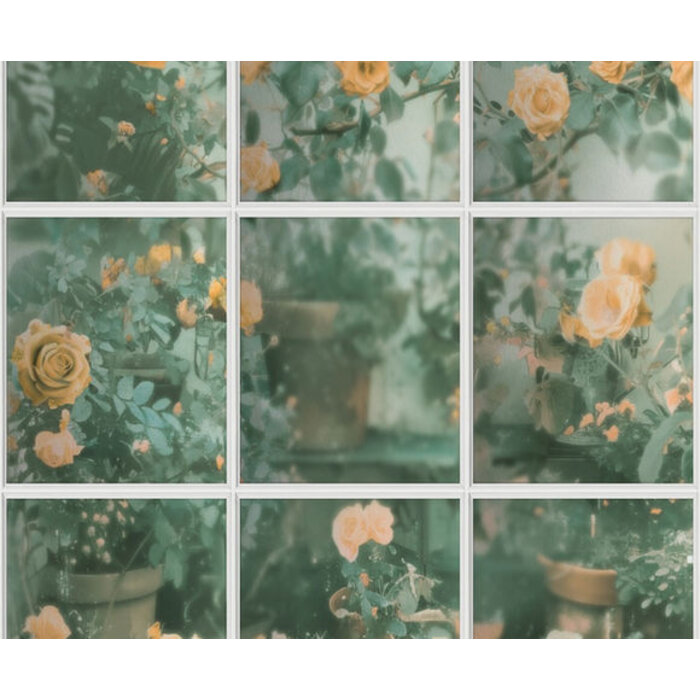 Illusion - rozen/ruit groen/geel