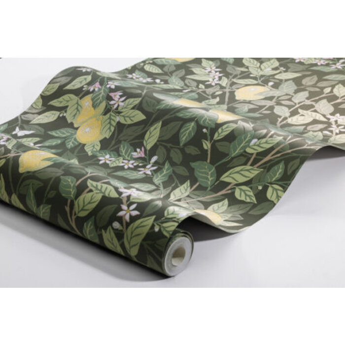 Collectie Orangeri; design 5701 Citrontr d