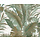 Zephira - Tropics groen