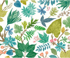 Riches of Nature - Lush Leaves Fresh Fern