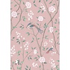 1901 Paradise Birds