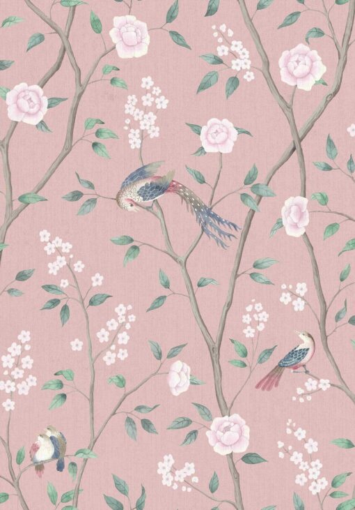 1901 Paradise Birds