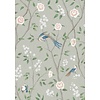 1903 Paradise Birds