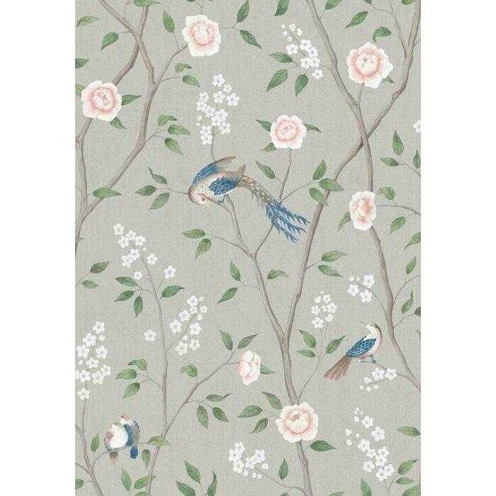 1903 Paradise Birds