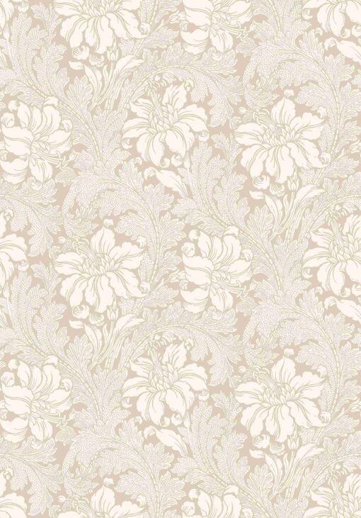 2011 Acanthus