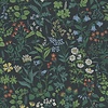 4181 Flora