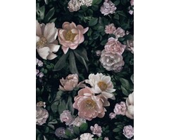 In Bloom design 7234 – New Dawn Rose