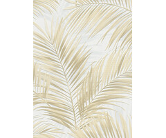 Cameo Cameo; design 10531-02