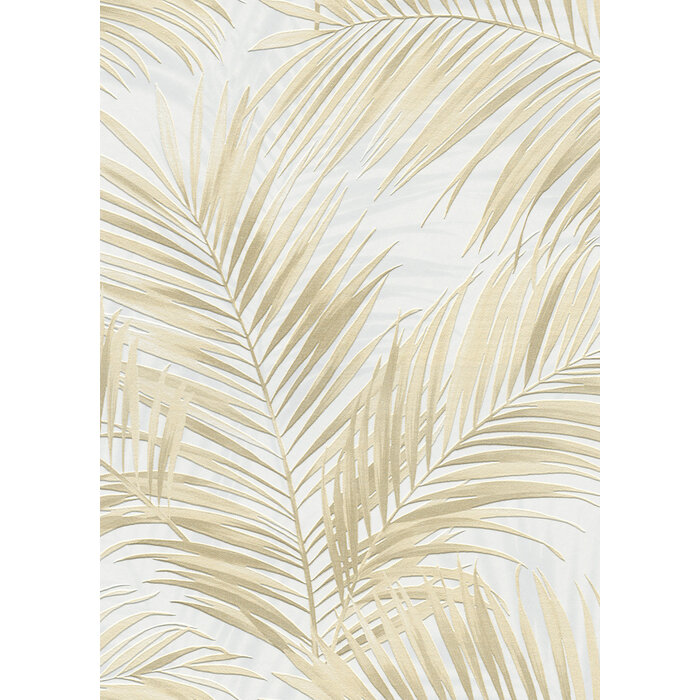 Cameo Cameo; design 10531-02