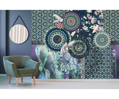 Circle of life Circle of Life TD4166