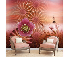 Circle of life Circle of Life TD4181