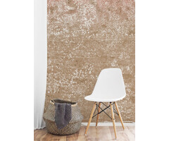 Circle of life Circle of Life TD4195