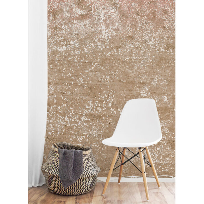 Circle of life Circle of Life TD4195