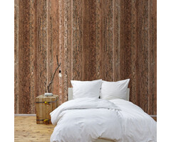 Circle of life Circle of Life TD4196