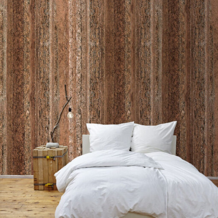 Circle of Life TD4196