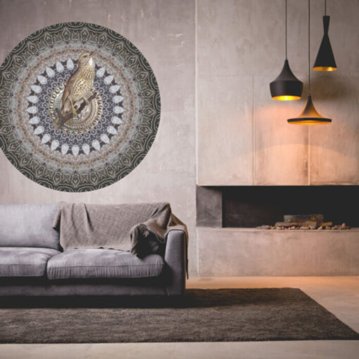 Circle of Life TD801