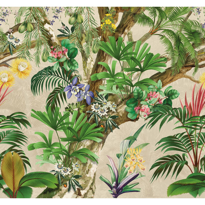 Favourite Hide -Out 300x280cm