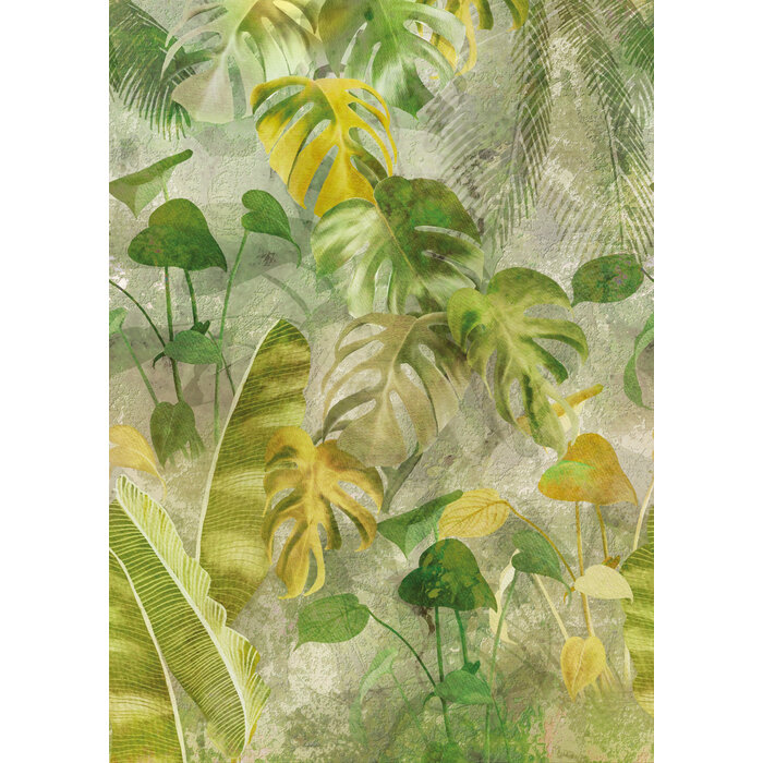 Good Morning Nature 200x280cm