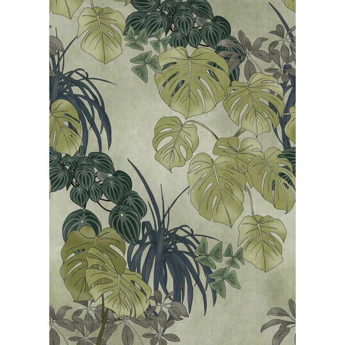 Dreaming of Nature Monstera Big Green 200x280cm