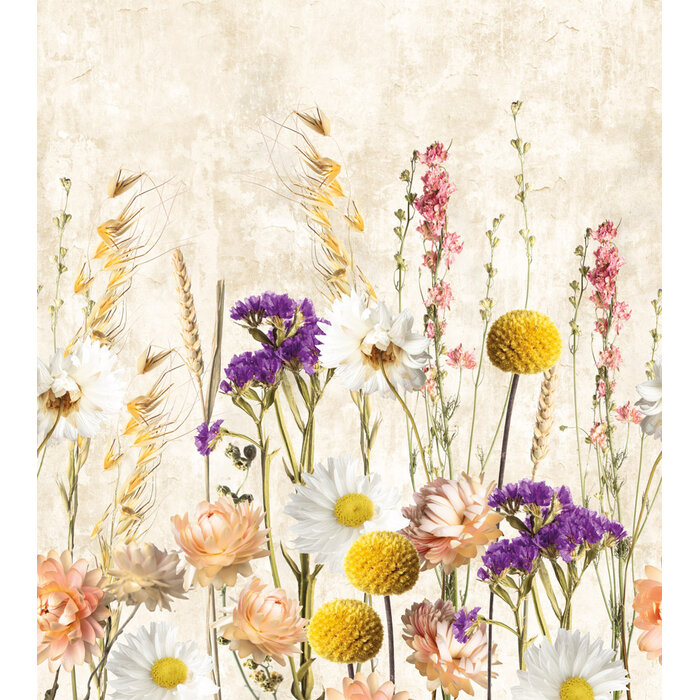 Dreaming of Nature Nature 250x280cm