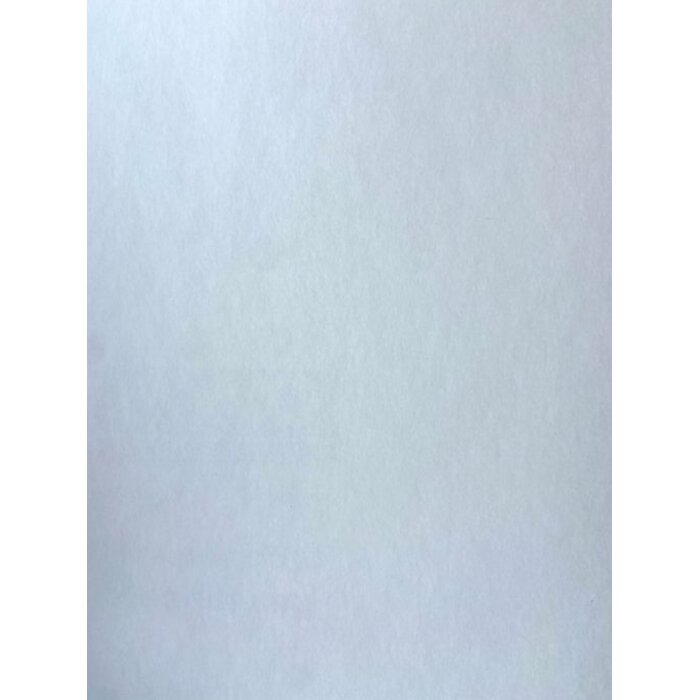 Renostuc – 160 gr/m² – Gesatineerd – 50m x 0,75m