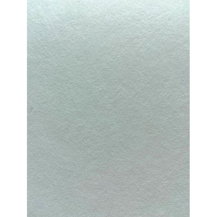 Renostuc 130 – 25m x 1m