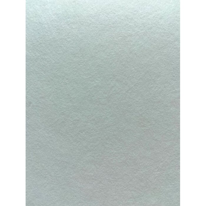 Renostuc 130 – 50m x 1m