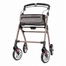 Wheelzahead WheelzAhead 1.0 INDOOR rollator
