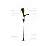 ErgoActives ErgoBaum 7G Comfort Crutches
