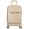 Capetown S 15,6 inch laptopvak Champagne