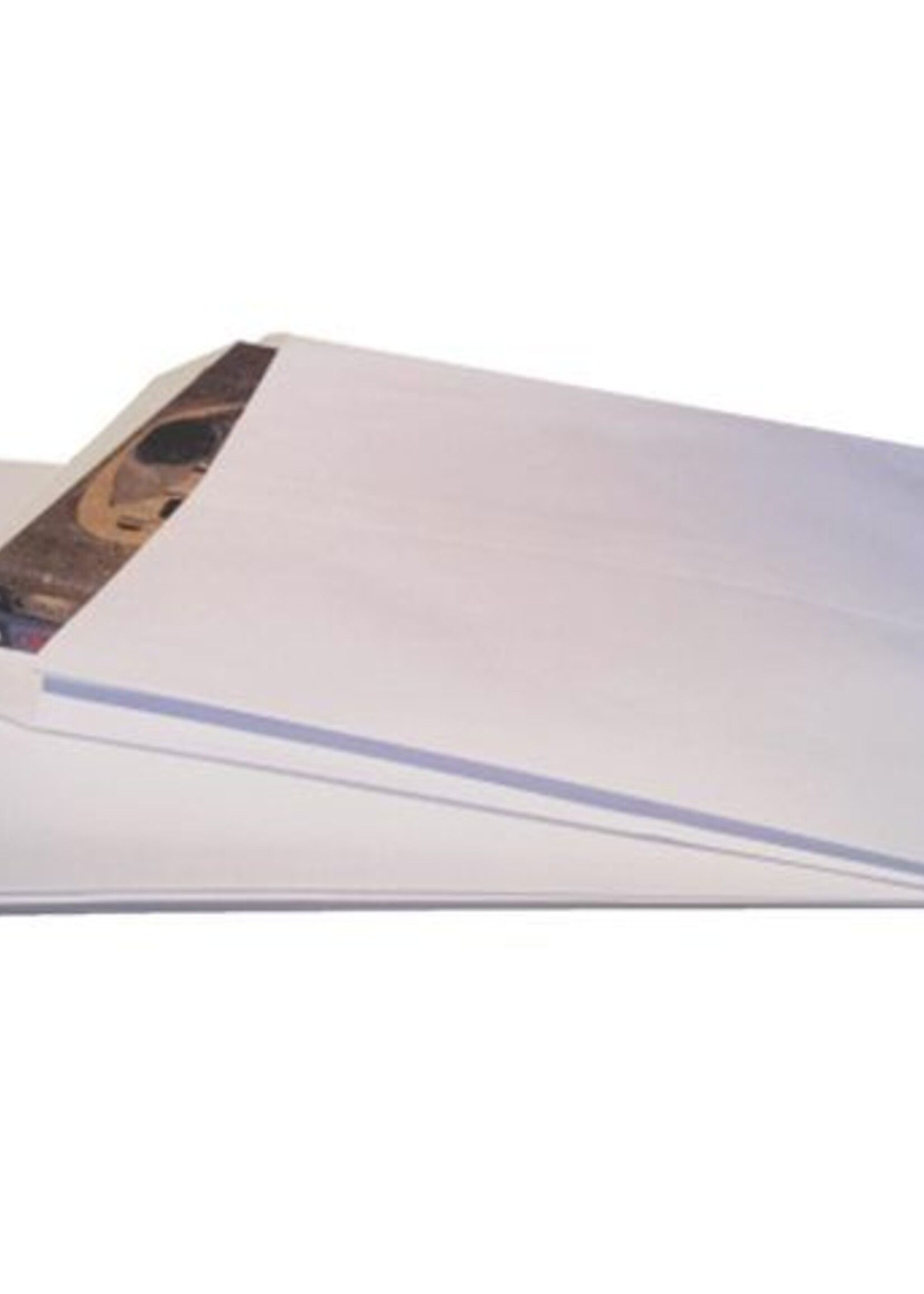 Quantore Quantore ENV MONSTER 262X371X38 ZK 10STKS