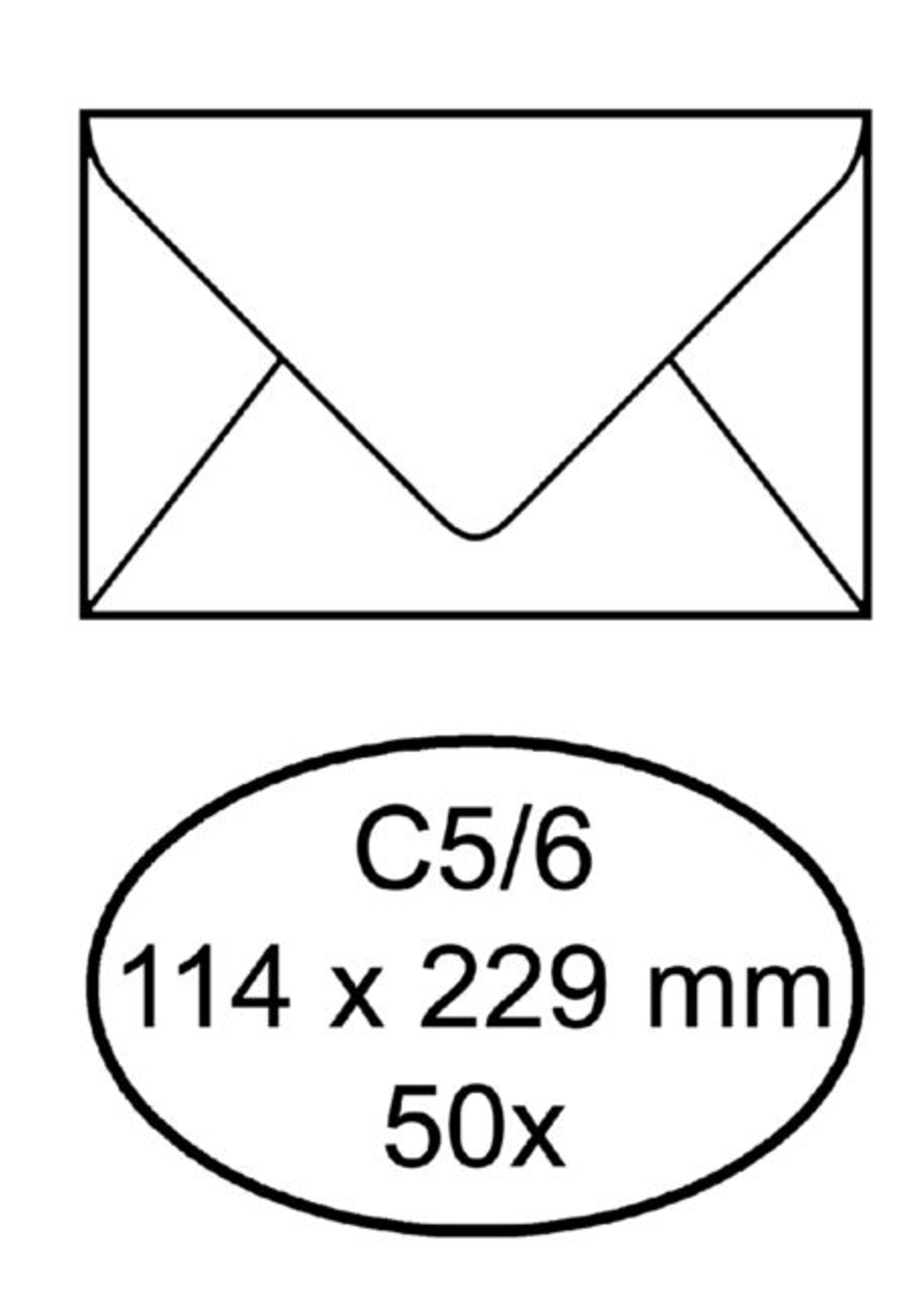 Quantore Quantore ENV BANK C5/6 80GR ZK WT 50STKS