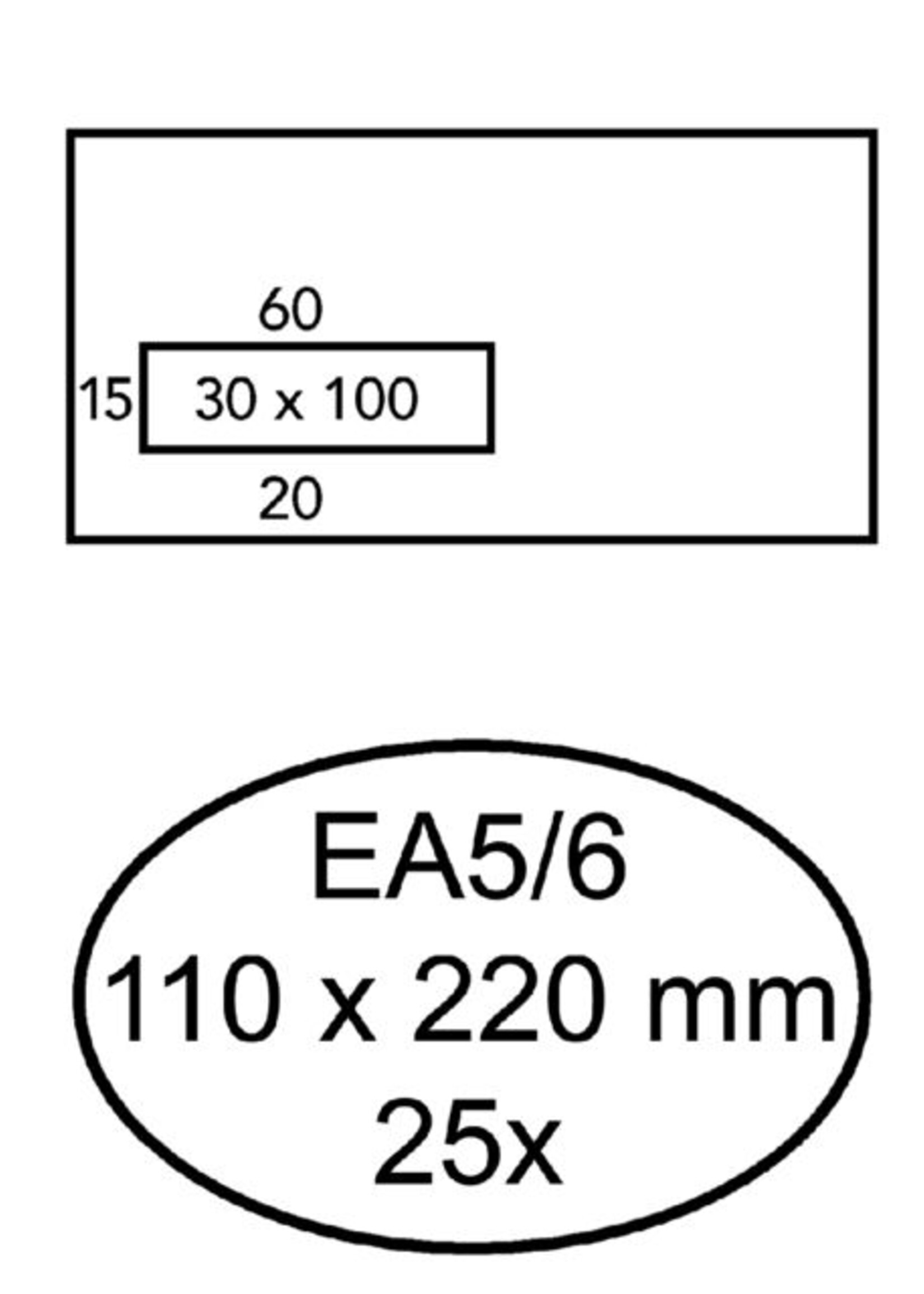 Quantore Quantore ENV VENSTER VL EA5/6 ZK 25STKS