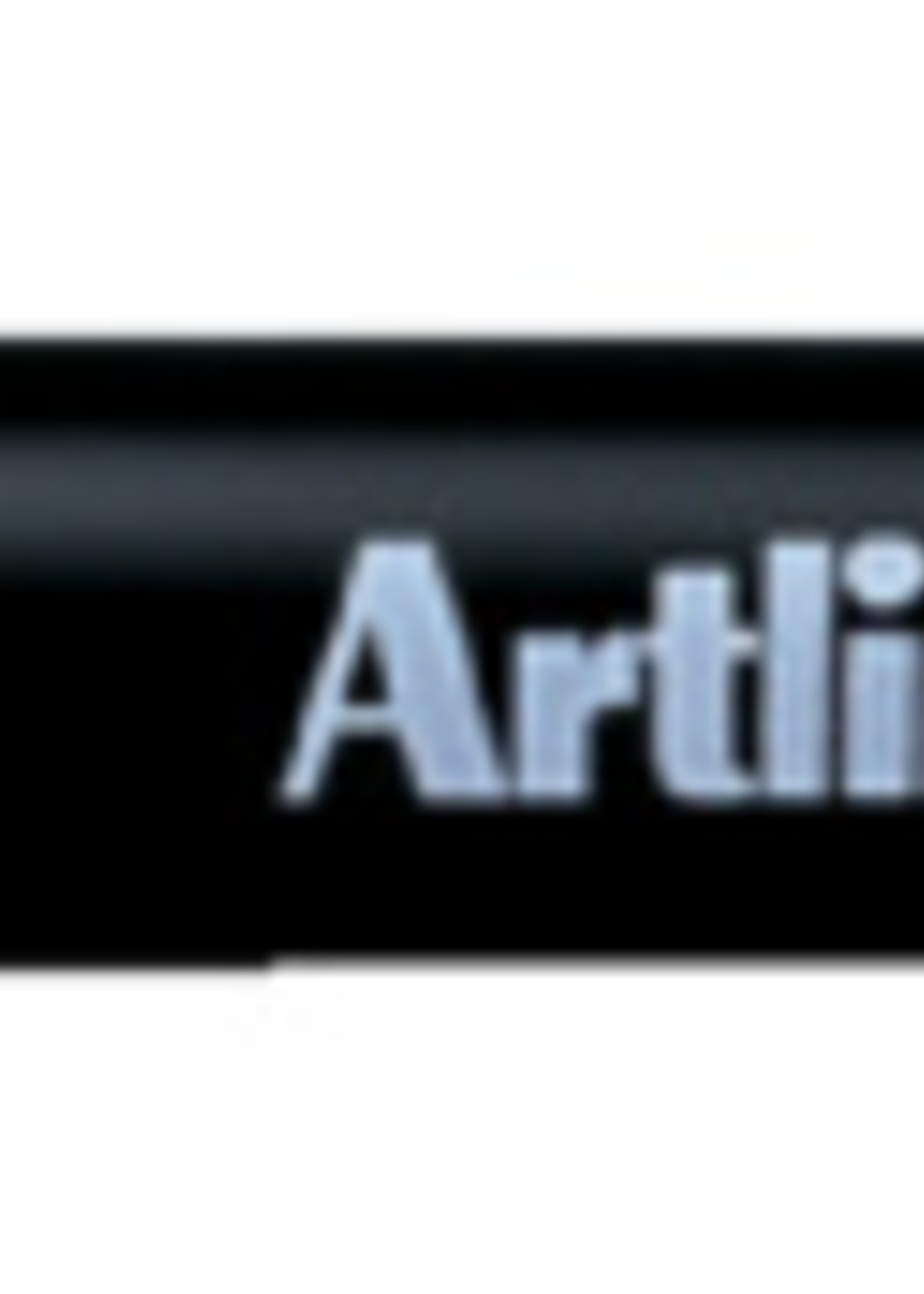 Artline Artline FINELINER 200 ROND ZW