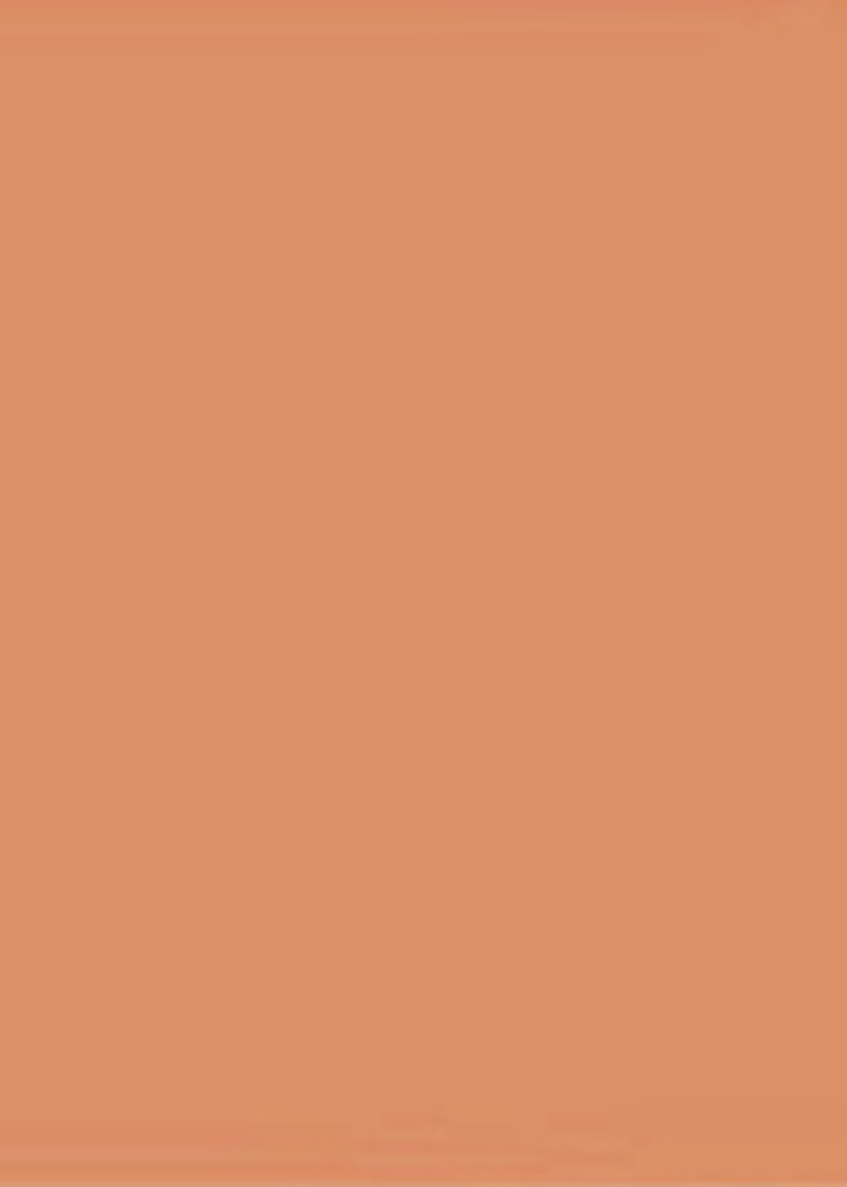 Elba Elba SCHEIDINGSSTR 105X240 OR