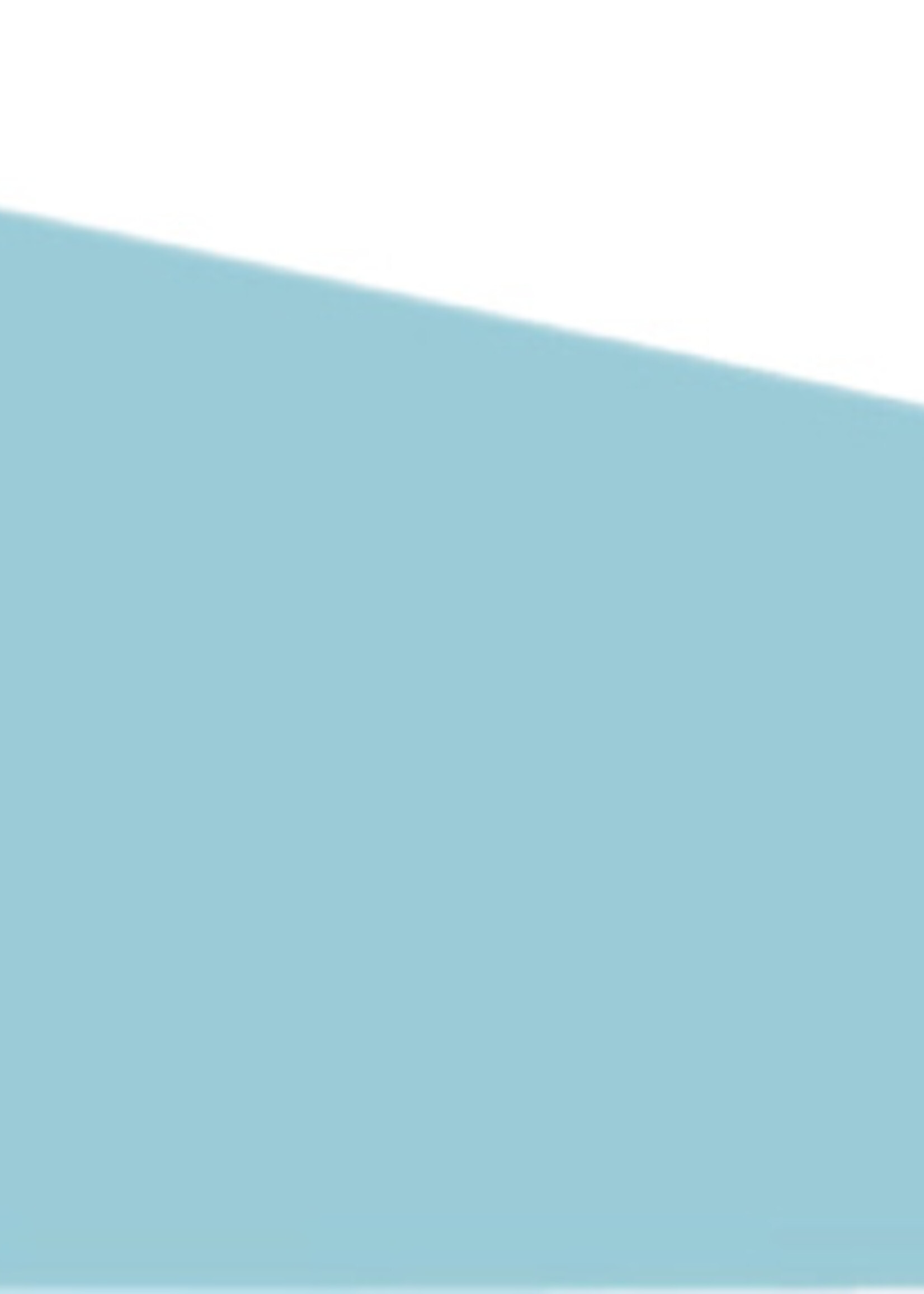 Elba Elba SCHEIDINGSSTR 105X240X55 2R BL