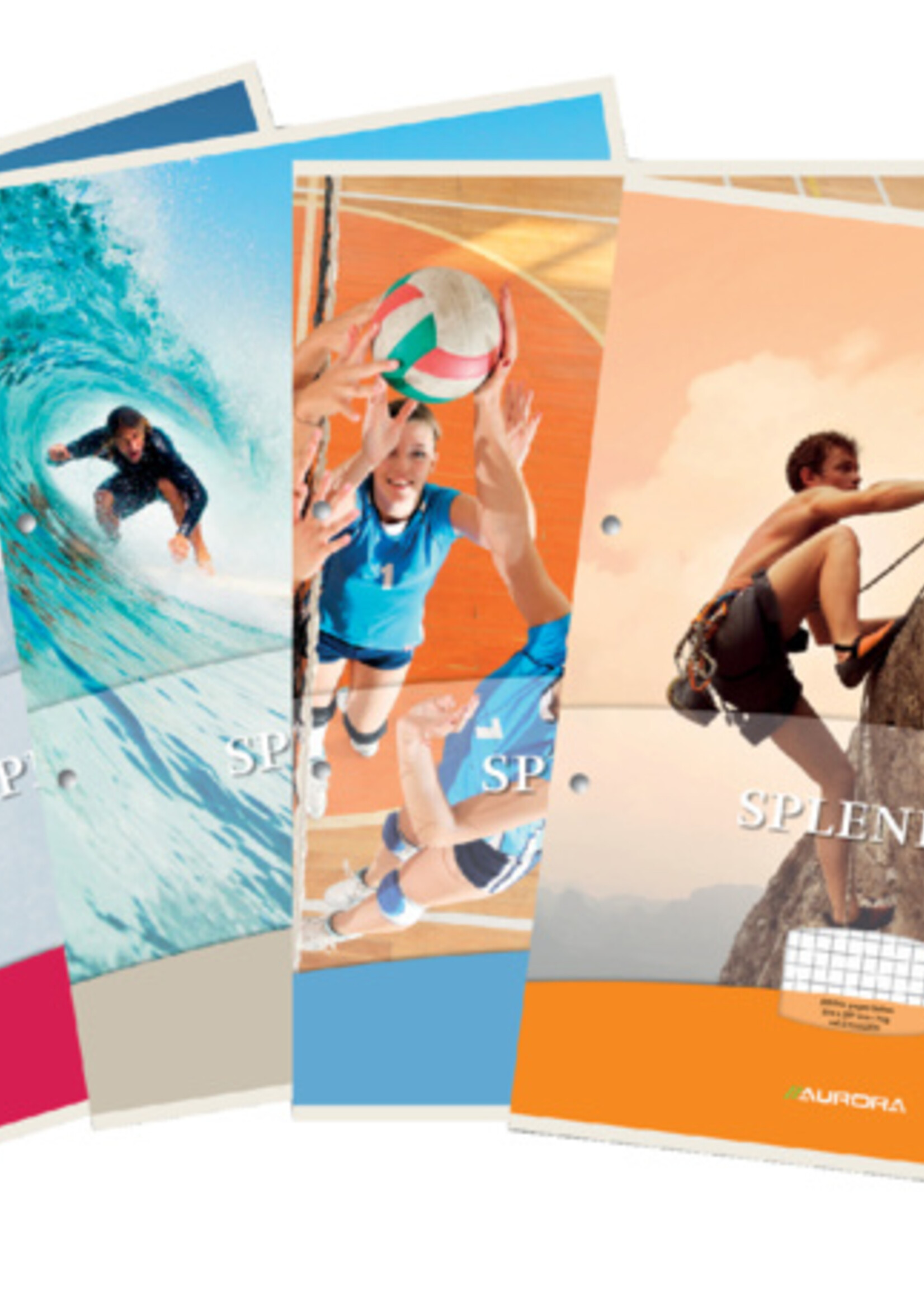 Aurora Aurora CURSUSBLOK SPLENDID A4 RUIT 5X5MM 2R 100V