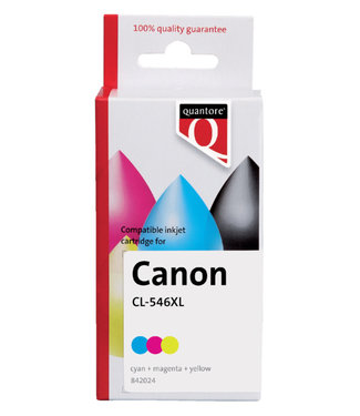 Quantore INKTCARTRIDGE CAN CL-546XL KL