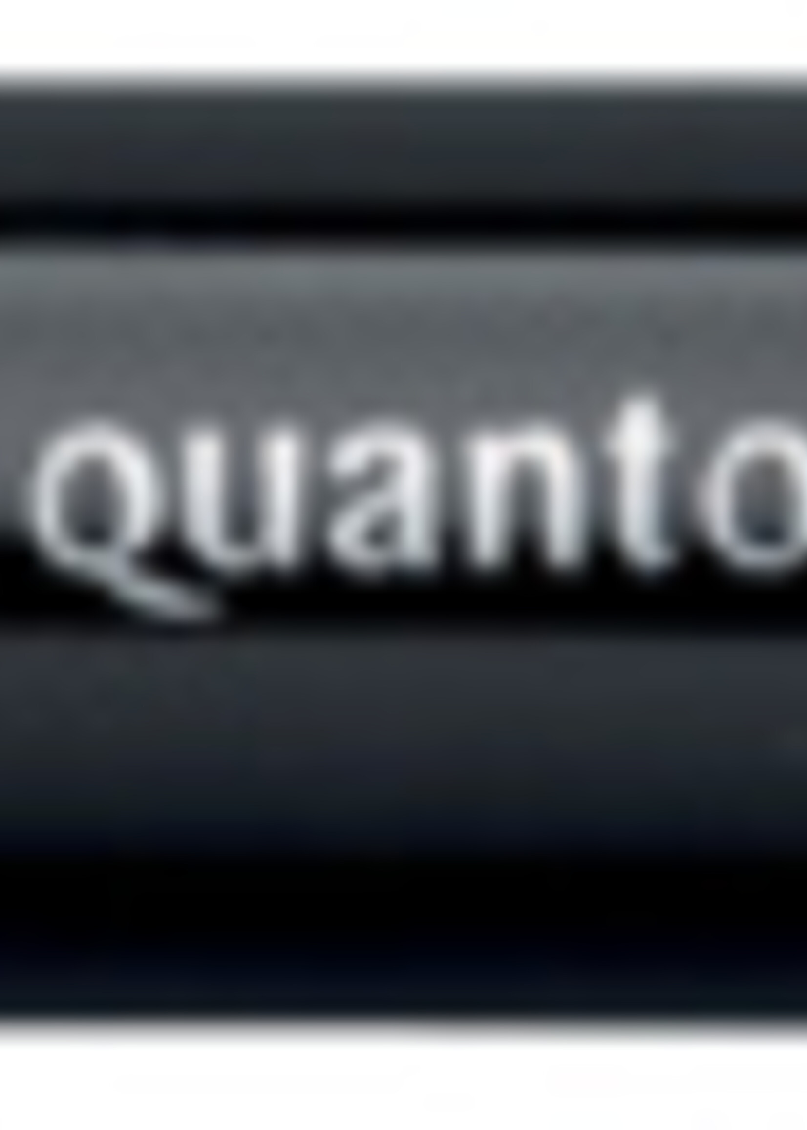 Quantore Quantore VILTSTIFT PERM ROND ZW