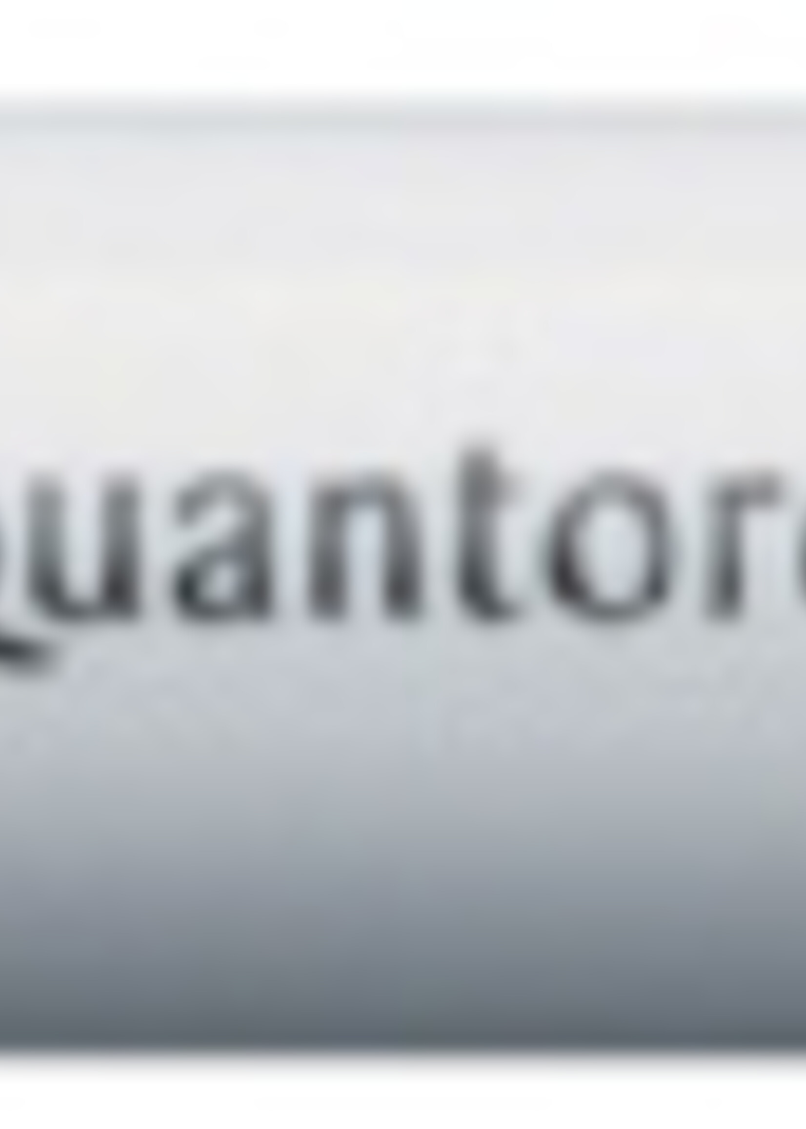 Quantore Quantore VILTSTIFT ROND ZW